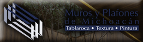 Muros y Plafones de Mich.