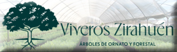 Viveros Zirahuén