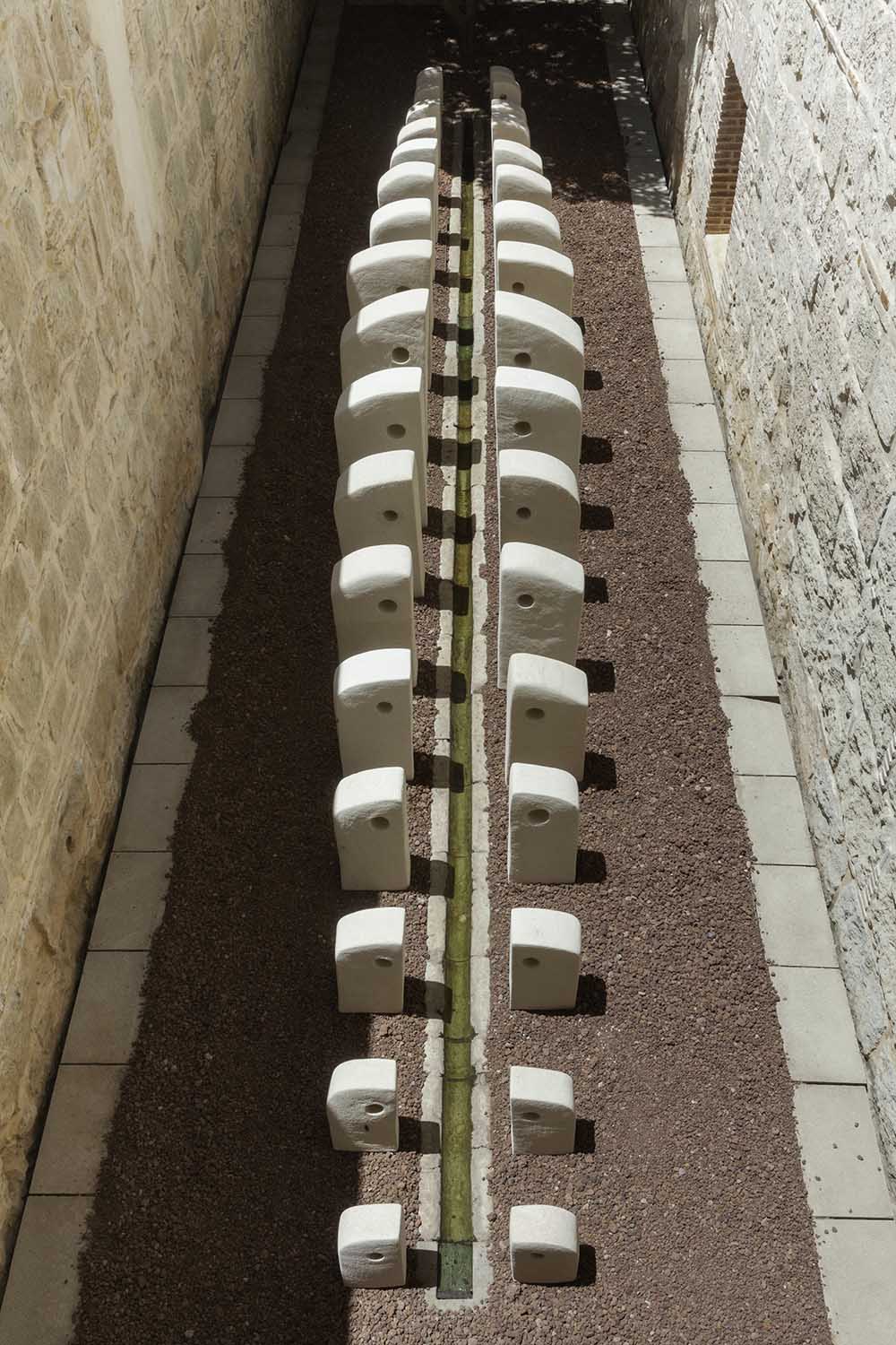 Lluvia Vertebral
