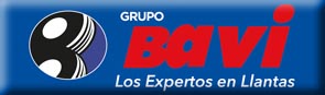 Grupo Bavi